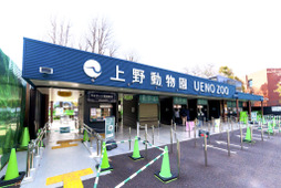 上野動物園や葛西臨海水族園など都立4施設が臨時休園…1月11日から 画像