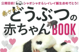 『癒されるどうぶつの赤ちゃんBOOK』、宝島社より刊行 画像