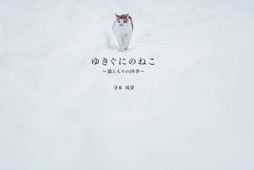 雪国を生き抜く猫たちの写真集、『ゆきぐにのねこ ～猫と人々の四季～』 画像