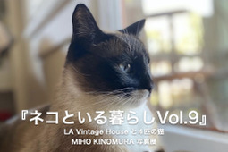 保護猫プロジェクト「ネコといる暮らし展 vol.9」、吉祥寺パルコにて開催…2月11～23日 画像