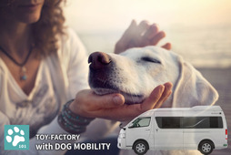 愛犬との旅行に適したキャンピングカーやグッズなどを手がける新事業スタート…トイファクトリー 画像
