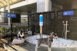 伊丹空港に国内空港初の「愛犬専用トイレ」が登場 画像