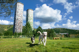 星野リゾート、愛犬と大自然を満喫する「リゾナーレのわんこ旅」を提案 画像