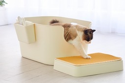 猫用の大型オープントイレ「TALL WALL BOX」発売…オーエフティー 画像