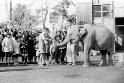 記念企画展「日本の動物園と水族館は東京から始まりました」開催…4月29日～5月8日 画像
