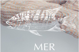 絶滅危惧種の“美しい魚”がモチーフ…新ファッションブランド「マーフォーク」 画像