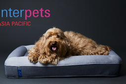 グーグースリープ、インターペット2022に出展…犬用ベッドを展示 画像