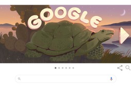 Googleロゴデザインが、ガラパゴス諸島の生き物に…世界遺産登録から42年 画像