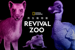 絶滅動物をデジタルで再現、「REVIVAL ZOO 再生動物園」渋谷で開催…4月18日～24日 画像