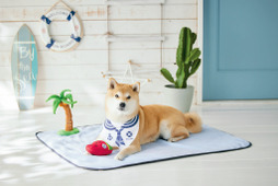 夏をイメージしたおもちゃと犬猫用クールマットがセットで発売…ペピイ 画像