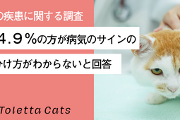 猫の飼い主に調査、8割以上が「病気のサインの見分け方がわからない」…トレッタキャッツ 画像