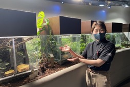 カワスイ 川崎水族館、「カエルの日」記念イベント開催…6月4日～19日 画像