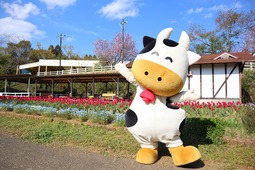 成田ゆめ牧場とJR東日本がコラボ、特別プランを発売…7月23日・30日 画像