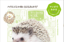 誠文堂新光社、「ハリネズミ、飼いはじめました！」を刊行…7月9日 画像