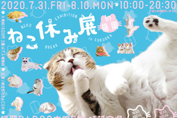 猫クリエイターが集結する合同写真展＆物販展「ねこ休み展 in 福岡」開催…7月31日～8月10日 画像