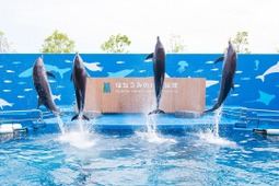 仙台うみの杜水族館、夏のスペシャルイベント「うみの杜サマー’20」を開催…7月23日～8月23日 画像
