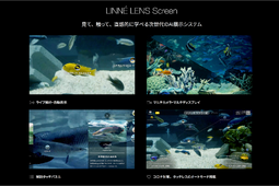Linne、リアルタイムAI・AR展示システム 「LINNE LENS Screen」の施設向けプランの提供を開始 画像