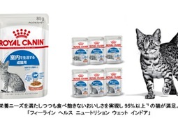ロイヤルカナン、室内で生活する猫のための総合栄養食「フィーライン ヘルス ニュートリション ウェット インドア」を発売 画像