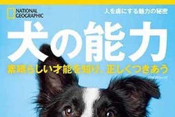 ナショナル ジオグラフィック、ビジュアル書籍「犬の能力 素晴らしい才能を知り、正しくつきあう」を刊行 画像