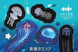 京都水族館、混雑回避を促す「オフピークタイム」を設定…10月5日～11月30日 画像