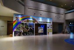 琵琶湖博物館、「守りたい！少なくなった生き物たち－未来につなぐ地域の宝物－」を開催…10月17日～2021年3月7日 画像