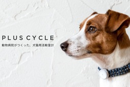 犬猫用活動量計「プラスサイクル」がリニューアル…日本動物高度医療センター 画像