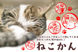 猫の仕草が描かれたはんこ「ねこかん」の予約受付開始…3月15日 画像