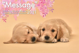 「盲導犬育成支援チャリティーカレンダー“Message”2021」発売…日販 画像