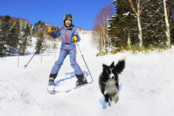 星野リゾート トマムに、愛犬と楽しめる「わんわんゲレンデ」が誕生…12月1日から利用開始 画像