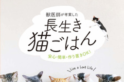 書籍「獣医師が考案した長生き猫ごはん」、世界文化社より刊行 画像