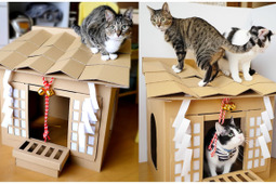 ダンボールハウス「ネコ神社ハウス」がクラウドファンディング開催中…収益の一部は保護猫活動の支援金へ 画像