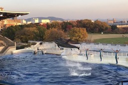 京都水族館、冬イベント「ふゆ恋すいぞくかん」を開催…12月1日～21年2月28日 画像
