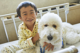 「介助犬にならない犬たちの活躍育成事業」、ふるさと納税サイト「ふるぽ」から支援可能に…日本介助犬協会 画像