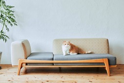 RINN監修の猫との暮らしに配慮したソファ「Luu sofa Cat Life model」、グリニッチより発売 画像