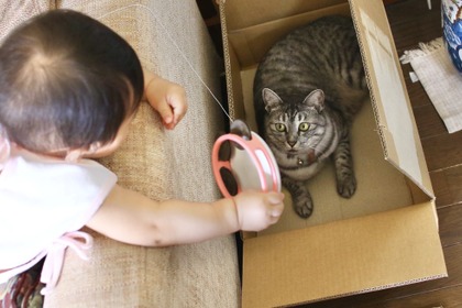 【赤ちゃんと猫 vol.11】猫が娘に唯一貸してくれないおもちゃとは…？ 画像