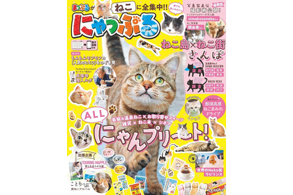 旺文社『にゃっぷる』の刊行日が決定、「まっぷる」と猫のコラボ本…1月29日 画像