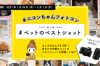 ニコンイメージングジャパン、「ペットのベストショット」をテーマとしたTwitterフォトコンテストを開催…2月1日まで 画像