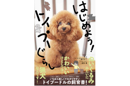 トイプードル飼育書「はじめよう！トイプーぐらし」、西東社より刊行…2月13日 画像