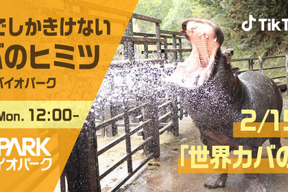 長崎バイオパーク、「ココでしかきけないカバのヒミツ」をTikTok LIVEで生配信…2月15日 画像