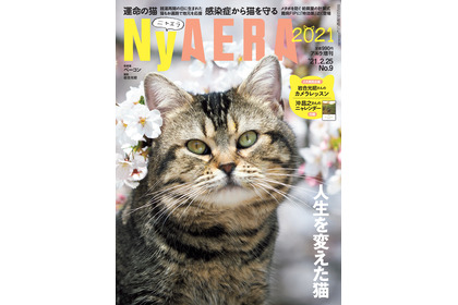 「AERA」が猫化した「NyAERA 2021」刊行…6冊目のテーマは「人生を変えた猫」 画像