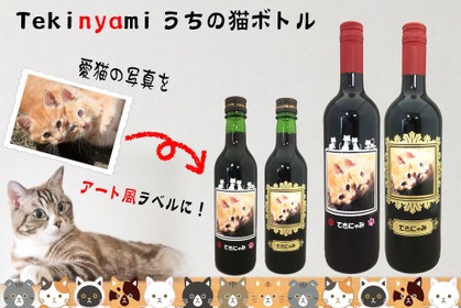 愛猫の写真がボトル彫刻に…「tekinyami-てきニャみ-うちの猫ボトル」発売 画像