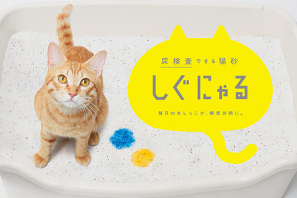 スリーズ、尿の成分に応じて色が変化する猫砂「しぐにゃる」の一般販売を開始 画像