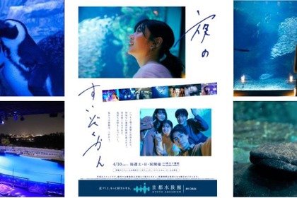 京都水族館、昼間とは違った生き物たちの姿が見られる「夜のすいぞくかん」を開催…4月10日から 画像