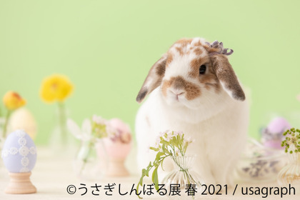 「うさぎしんぼる展 春 2021」、名古屋にて開催…4月24日～5月16日 画像