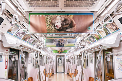 全国の動物園の人気者たちが電車をジャック、「深い癒やしトレイン」登場 画像