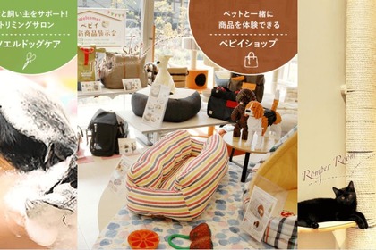 ペットグッズ通販「ペピイ」、初のリアル店舗「PEPPY SPACE」を大阪にオープン 画像