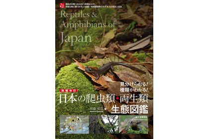 誠文堂新光社、「増補改訂 日本の爬虫類・両生類 生態図鑑」を刊行 画像