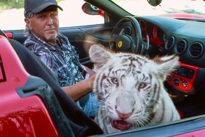 虎をめぐる仁義なき戦いから目が離せない Netflixドキュメンタリー「タイガーキング」 画像