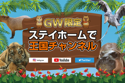 神戸どうぶつ王国、「GW限定 ステイホームで王国チャンネル」を展開…SNSでライブ配信やクイズ投稿 画像