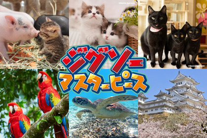 Nintendo Switch「ジグソーマスターピース」1周年記念、7種のパックを追加…「飛び猫」五十嵐健太氏作品も 画像